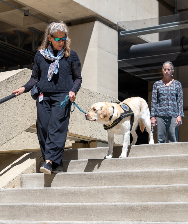 Assistance Dogs of the West Founder, Vice President, and Program Director Jill Felice (left) walks one of the FBIas newest crisis response canines down the staircase in the courtyard at FBI Headquarters while ADW Lead Instructor and Trainer Aimee Brown looks on in April 2025.